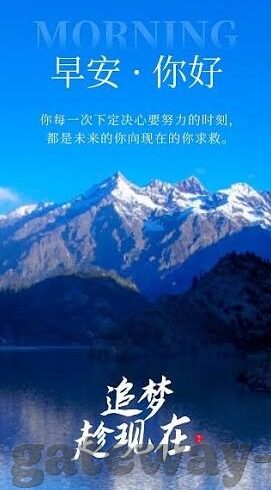 成人免费在线视频大全-成人免费在线视频大全，信息时代的娱乐新选择