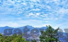 成人熟女国产麻豆91精东-成人熟女文化视角，探讨国产麻豆91精东的多样魅力