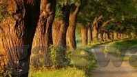 果冻传媒在线-探索果冻传媒在线，数字时代的创意与娱乐新篇章