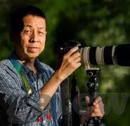 精品国产麻豆91-产业的新浪潮，精品国产麻豆91的现象研究