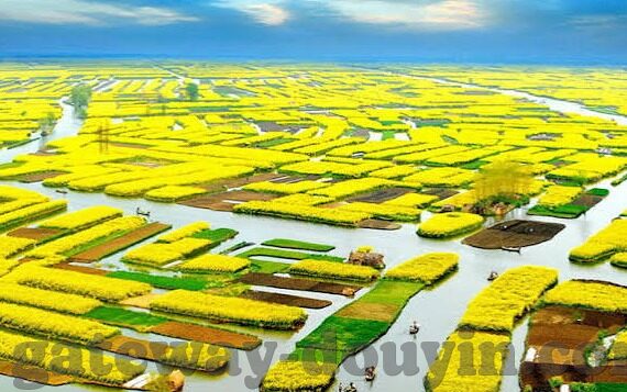 日韩成人在线视频-成人娱乐内容与网络伦理的边界探讨