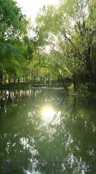 糖心官网入口txvlog-甜蜜流转，糖心之旅